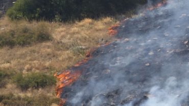 Գագիկ Ծառուկյանի տան հարակից տարածքում 8000 քմ տարածք է այրվել