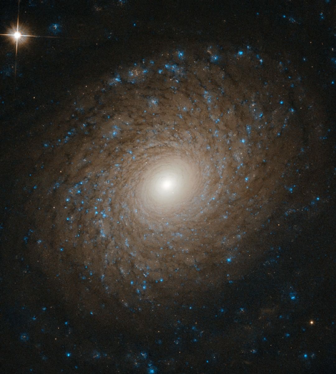 NASA-ն երիտասարդ գալակտիկա է հայտնաբերել