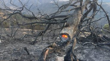 Նոր լուսանկարներ և տեսանյութ «Արևիկ» ազգային պարկից