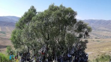 «Երազանքի» ծառը. արդյունքով հաստատված սովորո՞ւյթ, թե՞ սնոտիապաշտություն