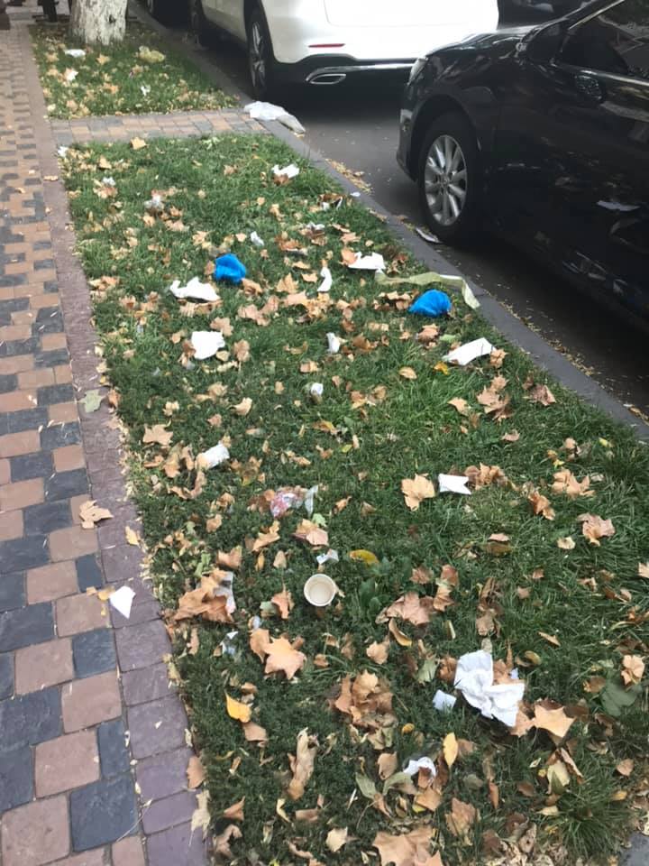 Քայլում ես, աղբը վրադ է գալիս. Անի Սամսոնյան