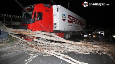 Երևանում ծառի տապալումից «Սպայկայի» բեռնատարը վնասվել է
