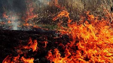 Հրդեհ Պռոշյան-Սասունիկ ավտոճանապարհին. այրվել է 50 հա խոտածածկույթ