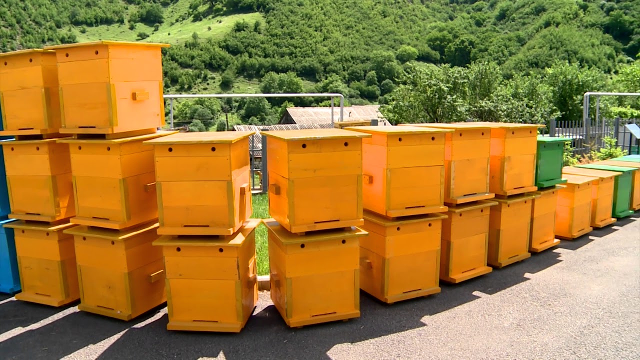 Արծվաբերդում այրվել է 30 մեղվափեթակ, 100 խնձորենի