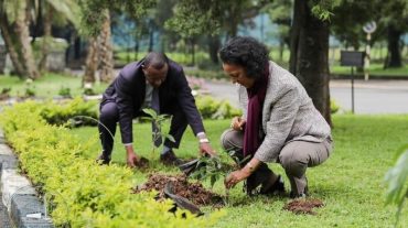 Եթովպիայում մինչև տարեվերջ 4 մլրդ ծառ է տնկվելու