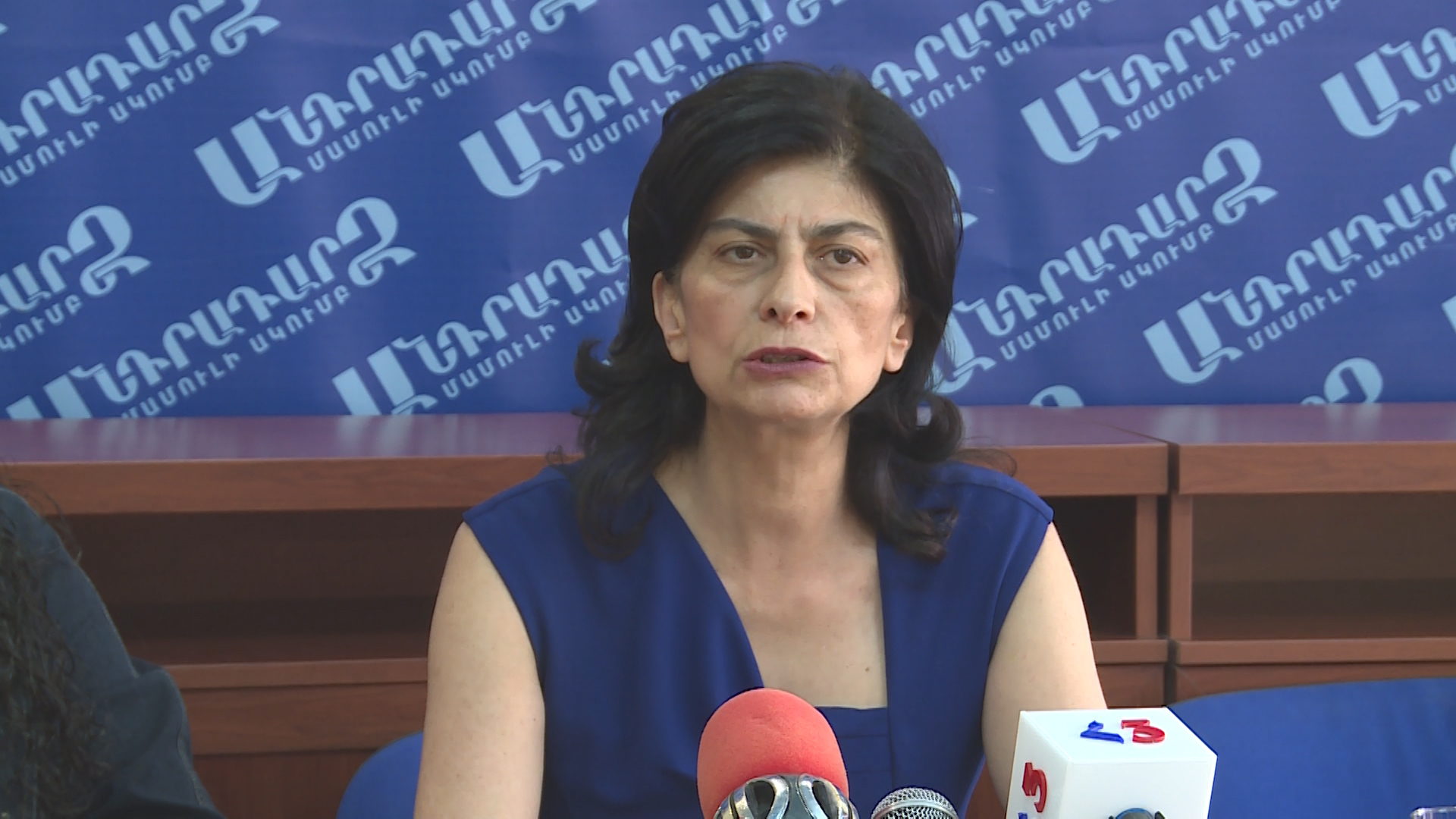 Հայաստանը վտանգված է. Նազելի Վարդանյանն ահազանգում է