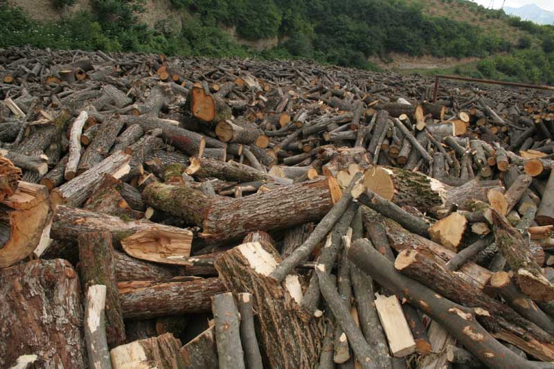 Բնությանը պատճառվել է ավելի քան 1 մլն դրամի վնաս
