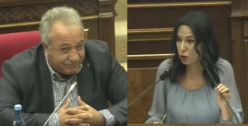 Եթե շունը գիշերը վրաս հարձակվի, կծի՞, թե՞ բանակցեմ․ Միքայելյանը՝ Զոհրաբյանին
