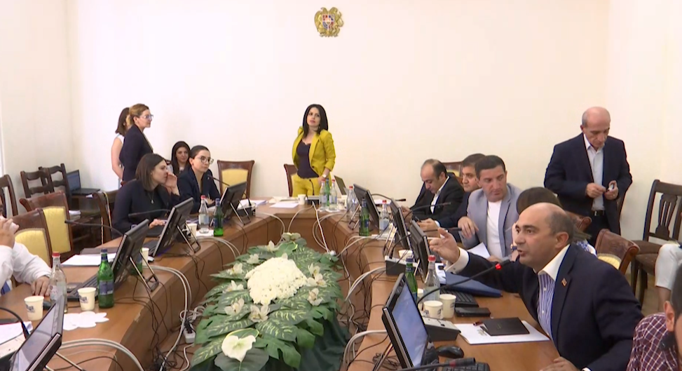 Լեզվակռիվ պետաիրավական հարցերի մշտական հանձնաժողովում. նախագահը ընդմիջեց նիստը