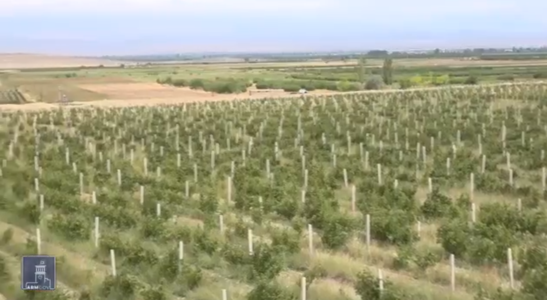 Մեկ տարվա ընթացքում կառավարությունը արտոնություն է տրամադրել 64 ներդրումային ծրագրի