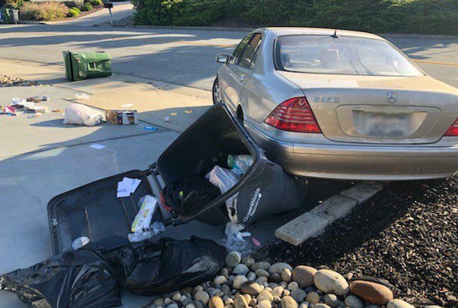 Սան Ֆրանցիսկոյում շունը «վարել» է տերերի Mercedes-ը ու վթարի մեղավոր դարձել
