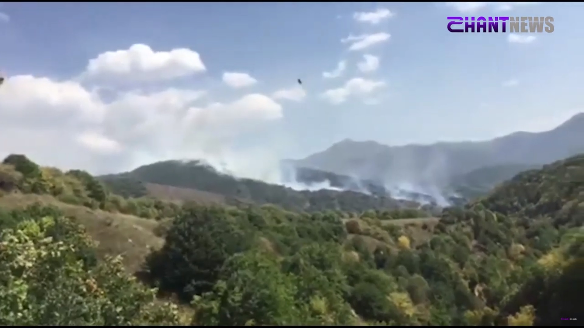 Սյունիքի մարզվում այրվում է անտառային տարածք. կրակը կարող է մոտենալ բնակելի տներին