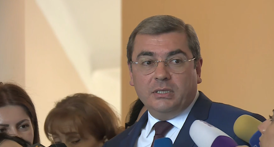 Եթե գործարարը օրինապահ լինի, այդ պահին ՀԴՄ չկիրառելու հետ կապված չենք տուգանի. Անանյան