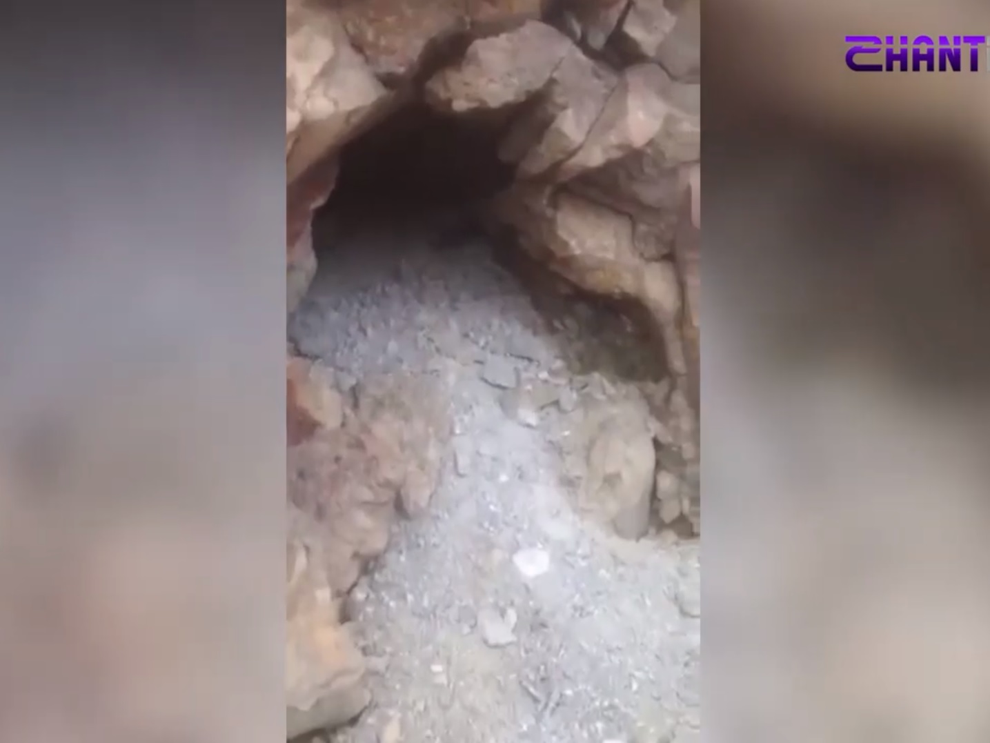 Արագած լեռան վրա՝ արջի հետքերով. բացառիկ կադրեր