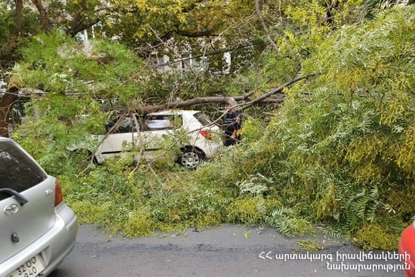 Երևանում ծառի ճյուղն ընկել է մեքենայի վրա