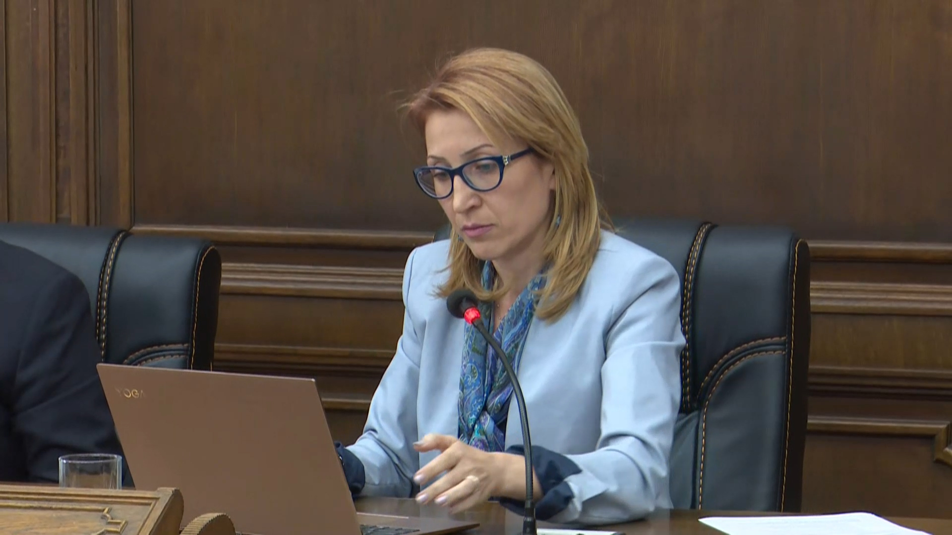 Պոպուլիզմը 10 միլիոն ծառի մասին խոսելը և բյուջեում չնախատեսելն է․ Մանե Թանդիլյան