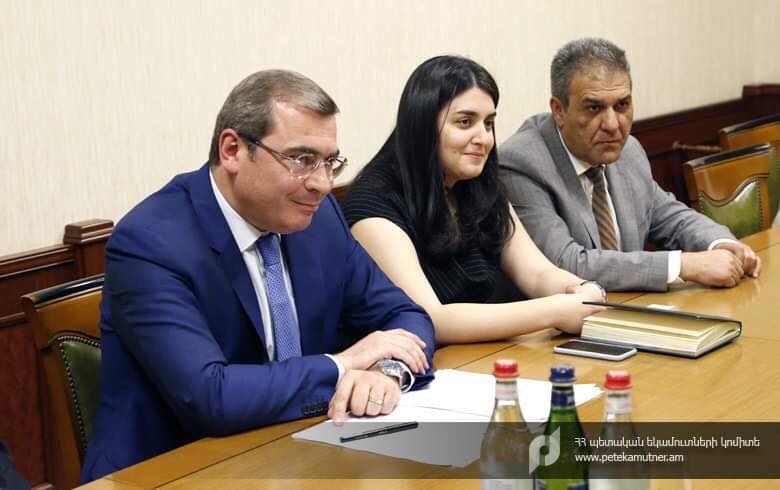 Դավիթ Անանյանն ընդունել է «Ռապիսկան սիսթեմս»-ի ներկայացուցիչներին