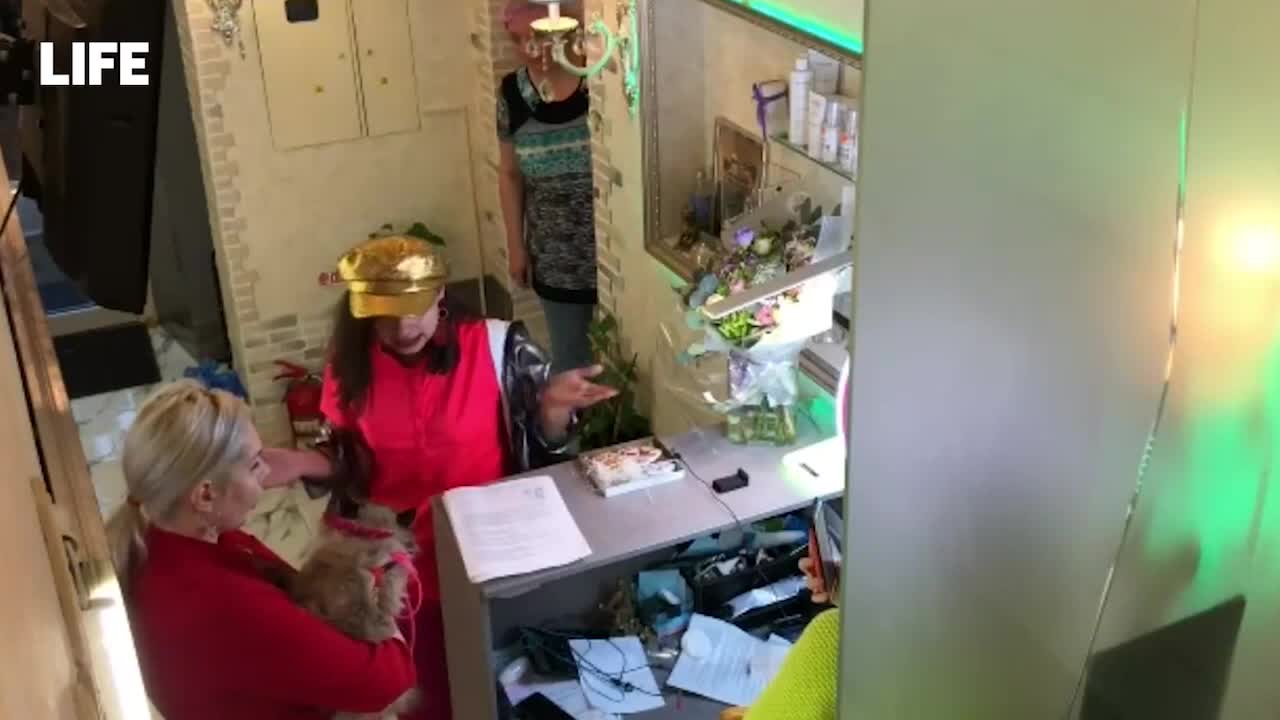Մոսկվայում կինն այցելել է գեղեցկության սրահ և պահանջել, որ իր կատվի շուրթերը մեծացնեն