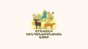 Կենդանաբանական այգում շները կենգուրուների են հոշոտել