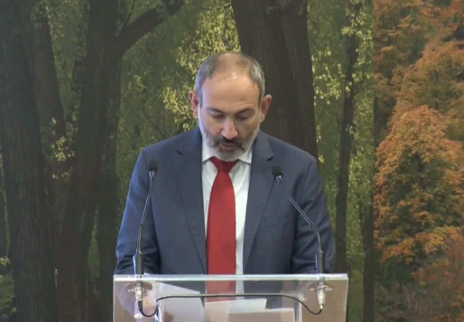Մեր երկիրը տևական ժամանակ է՝ կանգնած է անտառային տարածքների կենսունակության անկման մարտահրավերի առաջ. Փաշինյան