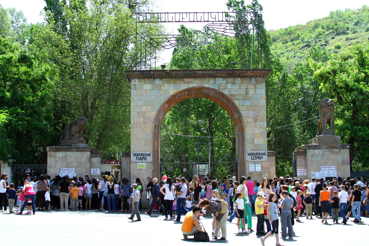 Ամբողջ գիշեր տանջվել ենք, բոլոր շներին չի հաջողվել թմրեցնել․ Կենդանաբանականի աշխատակիցը՝ իրենց հերթապահության մասին