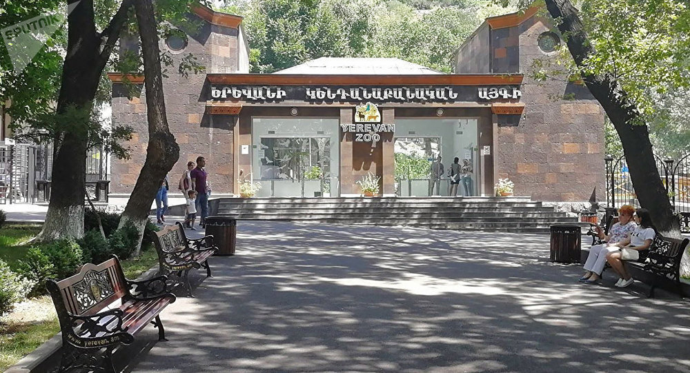 Դեմ ենք Ռուբեն Խաչատրյանի լիազորությունների դադարեցմանը. կենդանաբանական այգու աշխատակիցները դիմել են վարչապետին և քաղաքապետին