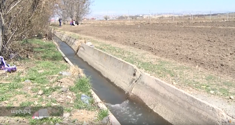 «Սյունիք» ջրօգտագործողների ընկերության տնօրինությունը չարաշահումներ է թույլ տվել, այնուհետև ոչնչացրել փաստաթղթերը