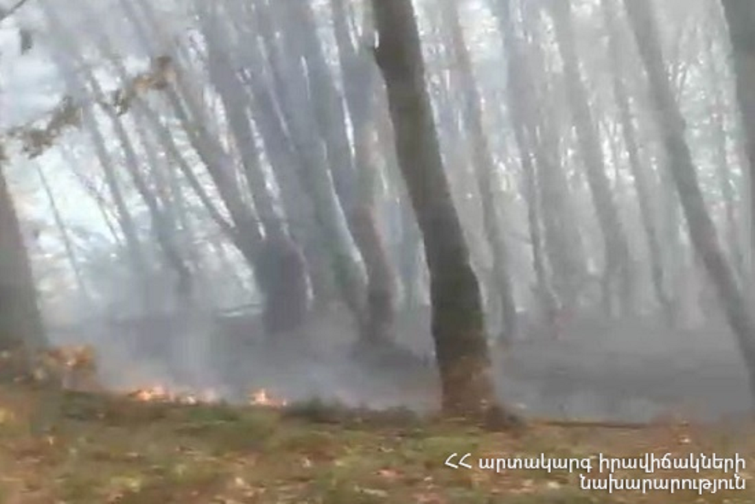 «Կեռի յալ» կոչվող հանդամասում բռնկված հրդեհը տարածվել է դեպի «Լոբուց գոմեր» կոչվող հանդամաս