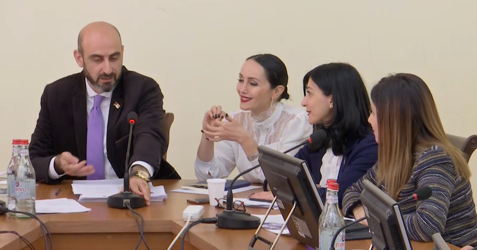 Այստեղ տեսնում եմ կոռուպցիոն ռիսկ, տեսնում եմ լոբբինգ. ինչո՞ւ են վիճում փոխնախարարն ու «Իմ քայլի» պատգամավորները