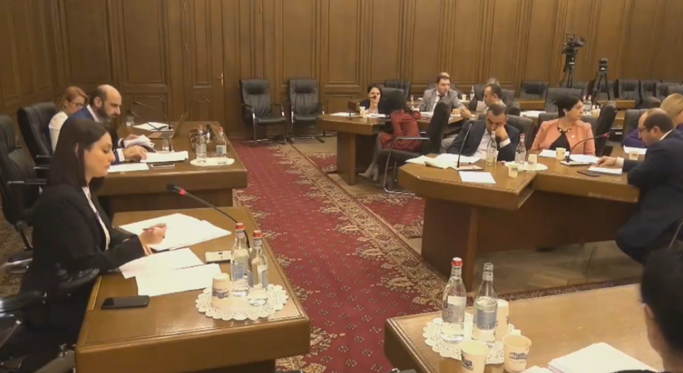 Զարուհի Բաթոյանը ԱԺ-ում ներկայացրել է գիշերօթիկ հաստատությունների լուծարման ծրագիրը