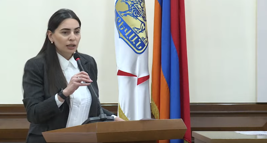 Մինչև չգա հետինը, չի հիշվի առաջինը․ Թեհմինա Վարդանյանը՝ Երևանի զարգացման ծրագրի մասին