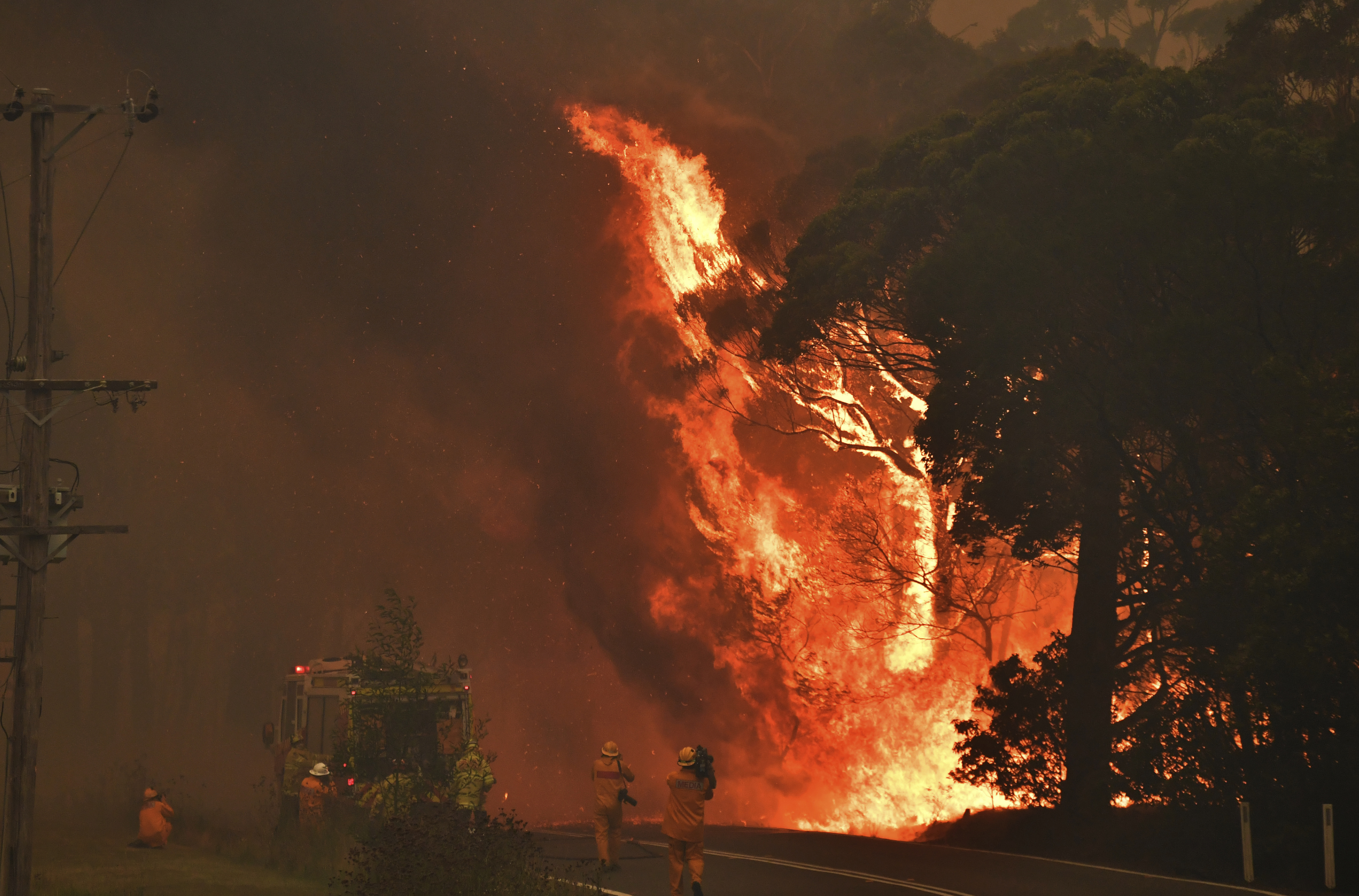После сильного пожара. Пожар в Мэрисвилле (2009), Австралия. Лесные пожары в Австралии 2019-2020. Лесные пожары в Австралии 2020. Пожар в Австралии в 2020 году.