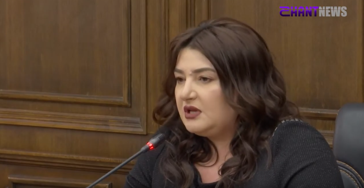 «Հանրային պահանջ» ձևակերպման տակ հնարավոր է իրականացնել ցանկացած անարխիա. Իվետա Տոնոյան