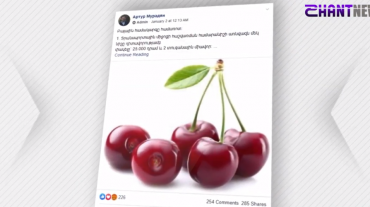Բալային հումորներից մինչև բալերի վաճառք համացանցում