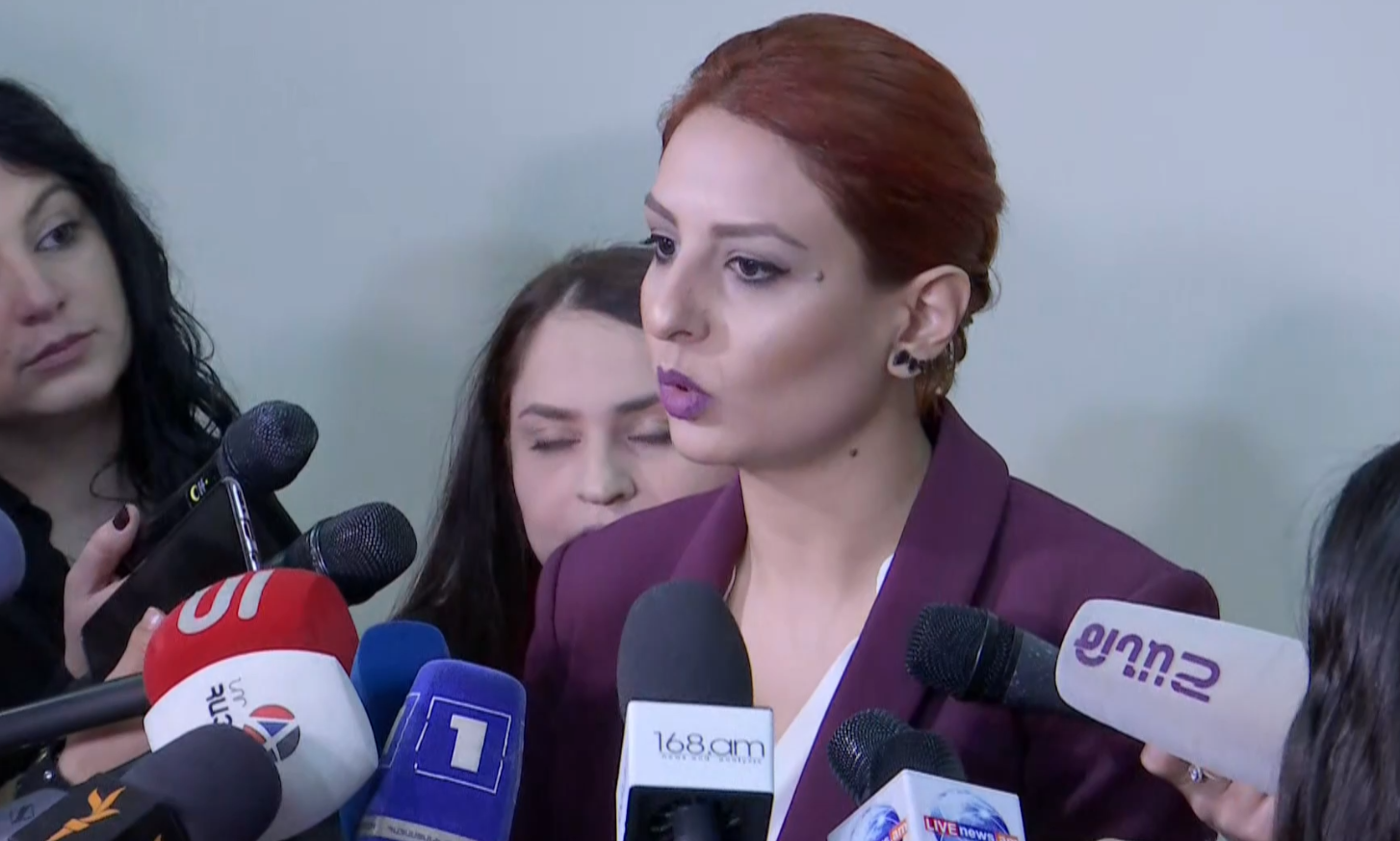 Բերել եմ օրենսդրական նախաձեռնություն, մեր գործընկերները դեմ ելույթներ են ունենում. Անի Սամսոնյան