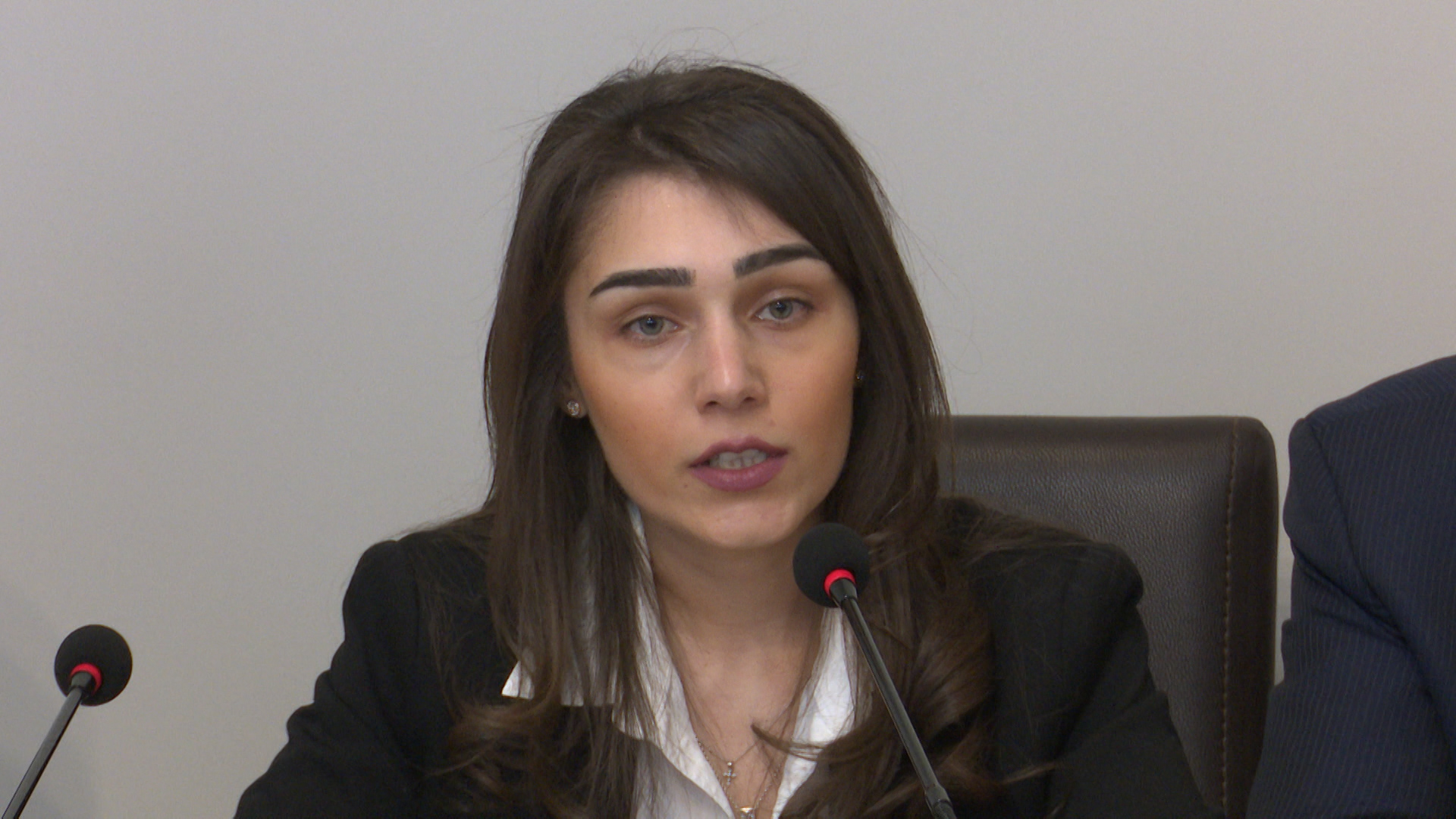 Պարեկն է լինելու քաղաքացուն աջակցություն տրամադրողը. Ամալյա Հովսեփյան
