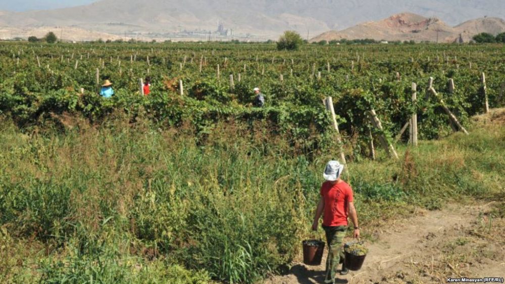 Էջմիածնի բնակիչն ինքնիրավչությամբ էական վնաս է պատճառել իր խնամիներին