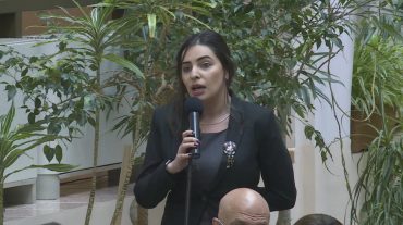 Պարո´ն քաղաքապետ, Ձեզ բանավոր նկատողություն եմ տալիս. Թեհմինա Վարդանյան