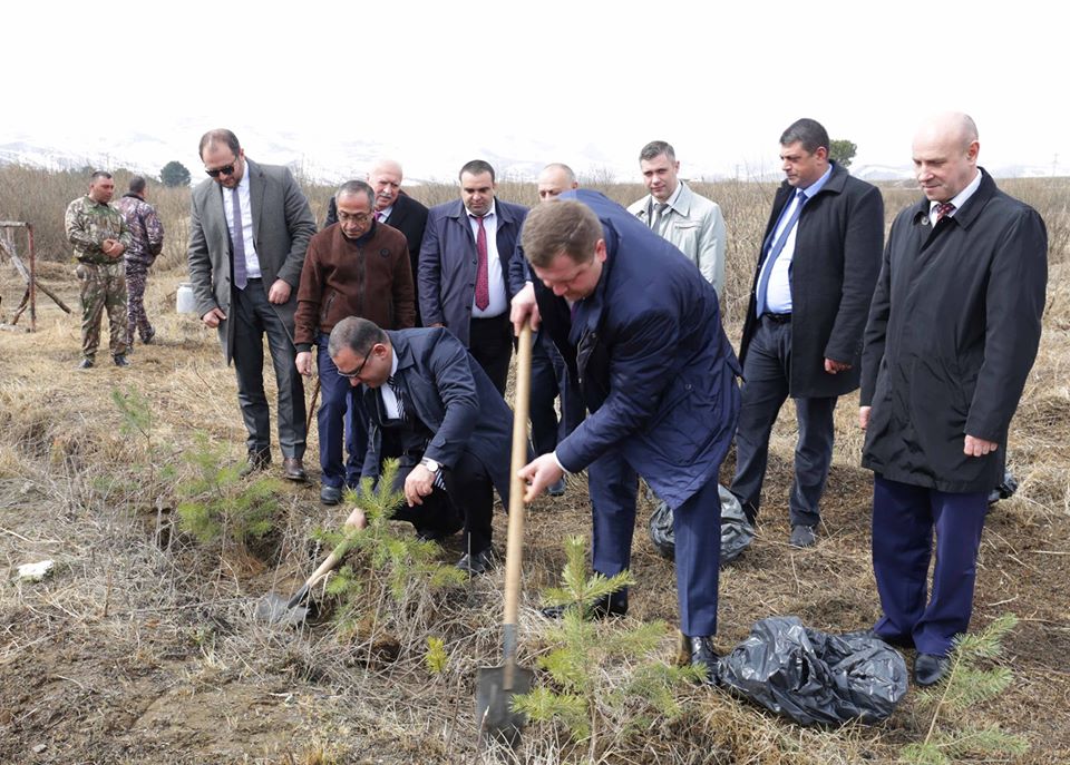 Բելառուսը Հայաստանին անհատույց 50 հազար հատ սոճու տնկի է նվիրել