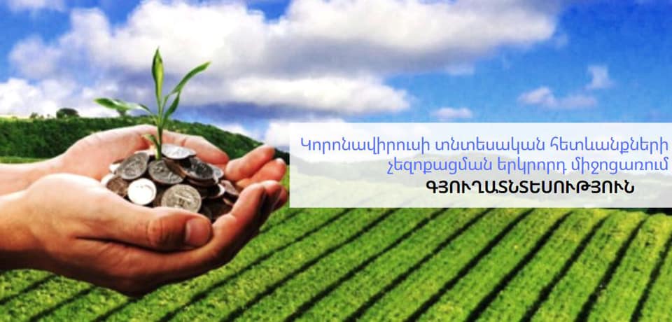 Մշակվել է կորոնավիրուսի տնտեսական հետևանքների չեզոքացման երկրորդ միջոցառումը գյուղատնտեսության ոլորտի համար