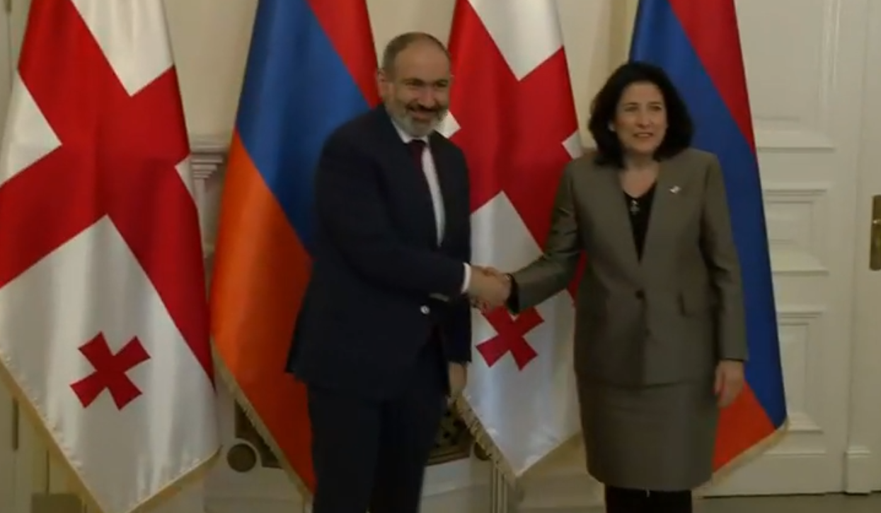 Նիկոլ Փաշինյանի հանդիպումը Վրաստանի նախագահի հետ