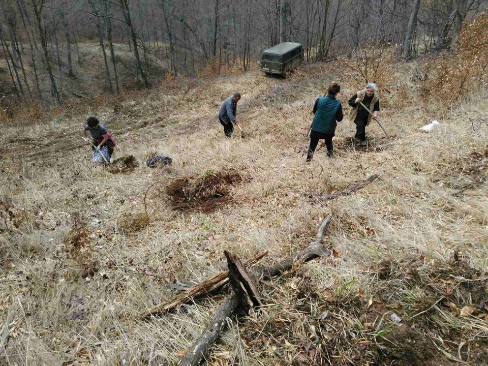 650 հեկտար անտառավերականգնում․ «Հայանտառ»-ի աշխատանքները շարունակվում են