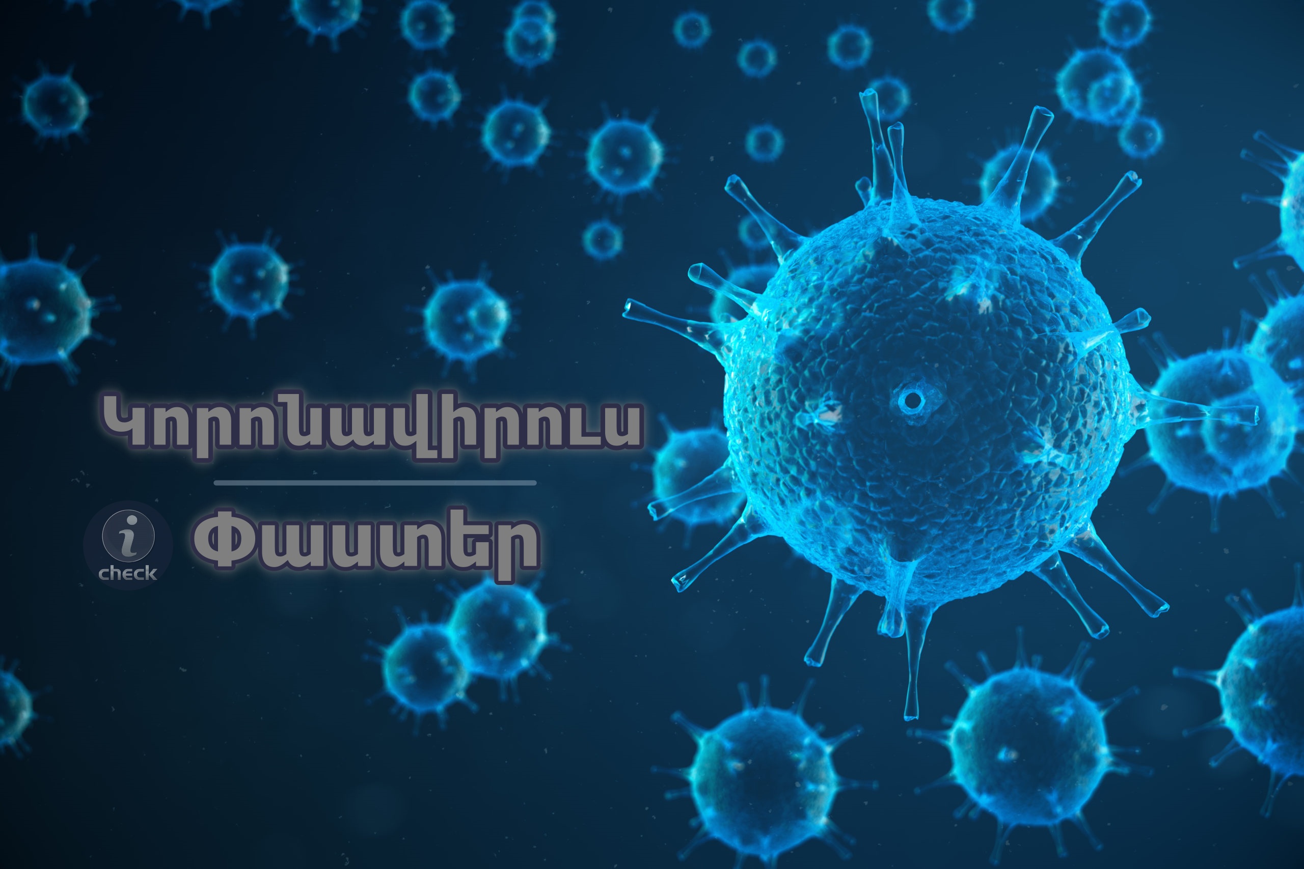 Ինչ սկզբունքով է Հայաստանում ախտորոշվում կորոնավիրուսը. պարզաբանում է Արսեն Թորոսյանը