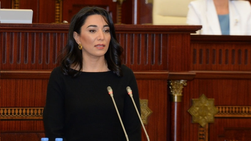 Ադրբեջանի «մարդու իրավունքների պաշտպանը» չի ցանկանում հանդիպել Հայաստանի ՄԻՊ-ին