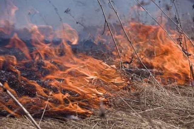 ԱՄՆ դեսպանատան մոտ խոտածածկ տարածք է այրվել