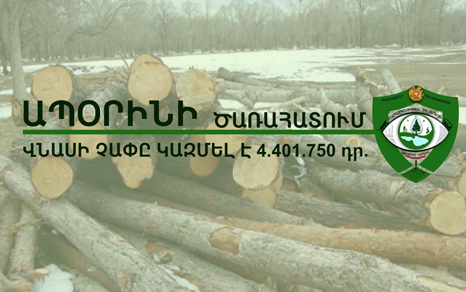 Ապօրինի ծառահատման դեպք Լոռու մարզում