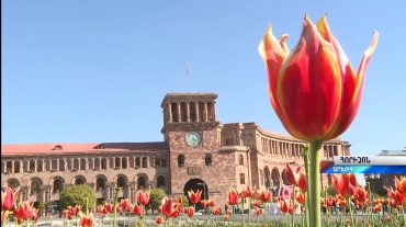 Հորիզոն 20.00