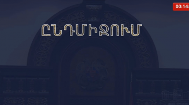 Էս շենքում ընդհանրապես անվտանգության աշխատակիցներ կա՞ն. իրավիճակն ԱԺ դահլիճում ընդմիջում հայտարարելուց հետո