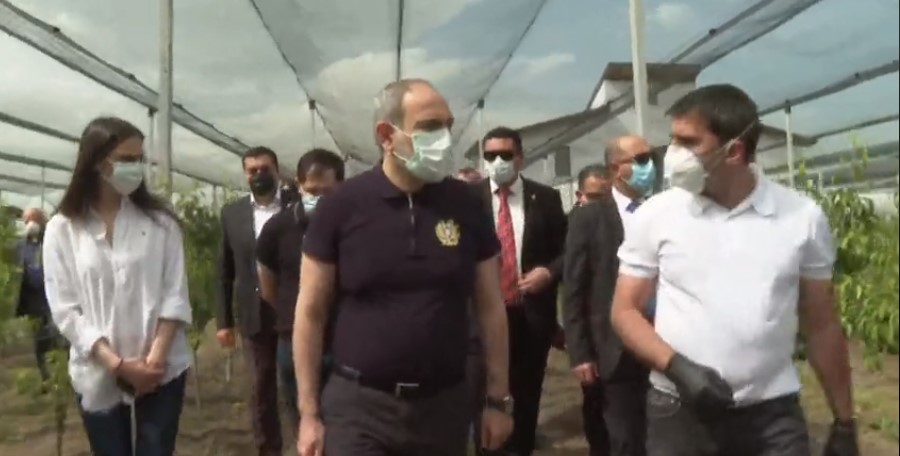 Վարչապետն Արարատի մարզում ծանոթանում է գյուղատնտեսական աշխատանքների ընթացքին