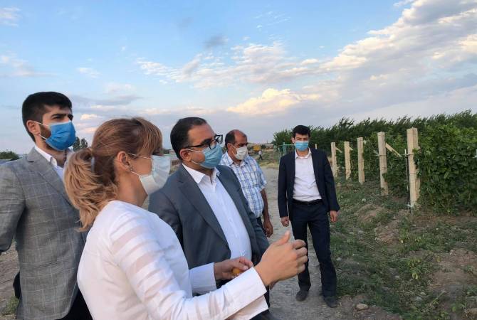 Տիգրան Խաչատրյանը հանդիպել է գինեգործների հետ